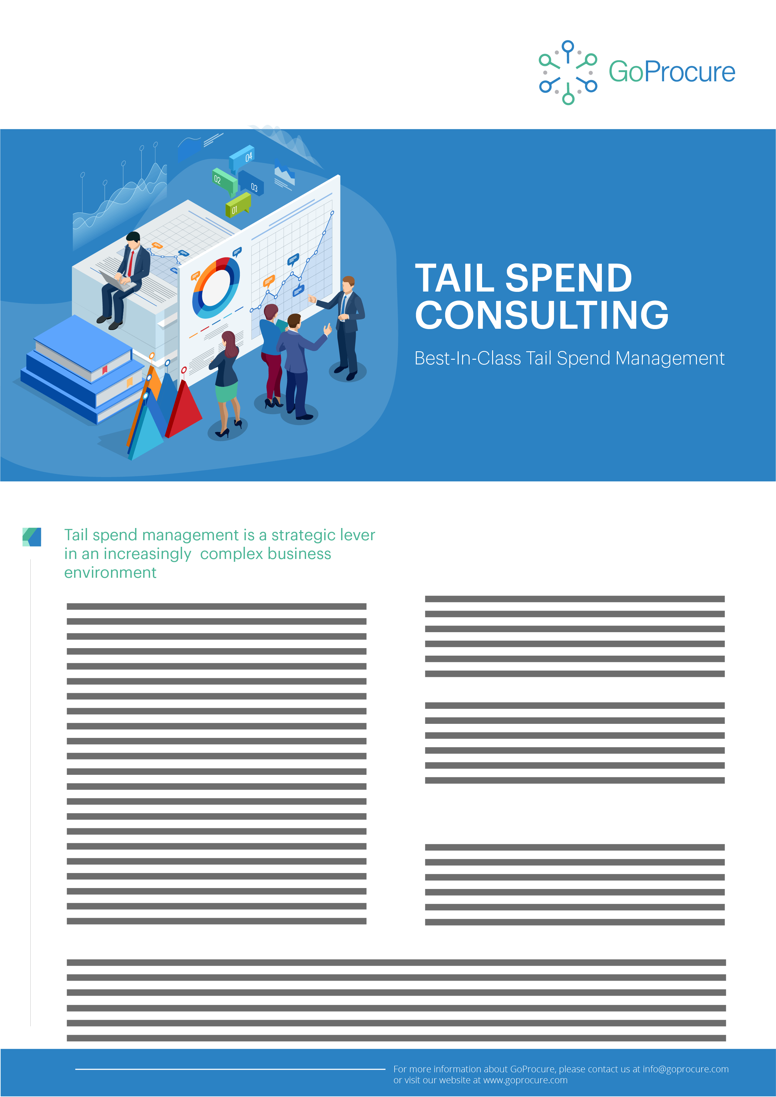 Tail Spend Consulting Service Sheet